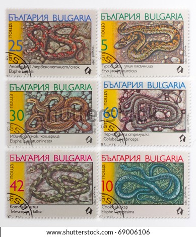 BULGARIA - CIRCA 1989: A Stamp printed in BULGARIA shows the image of a Cat Snake with the description 