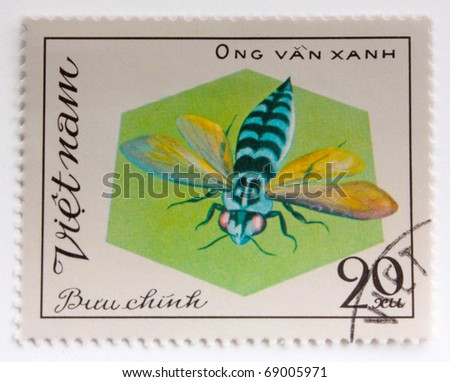 Vietnam Insects