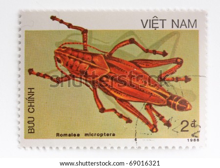 Vietnam Insects