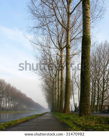 tree lane