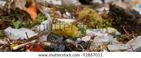 rubbish dump