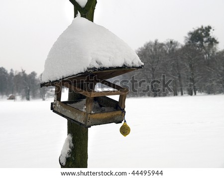 wooden bird table in winter and snow