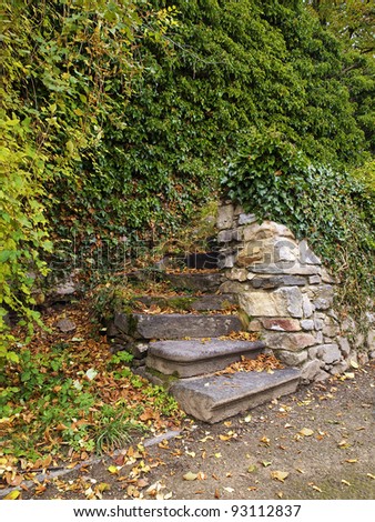 a stone staircase in old garden