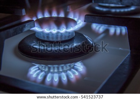 Burning gas stove hob blue flames close up in the dark on a black background
