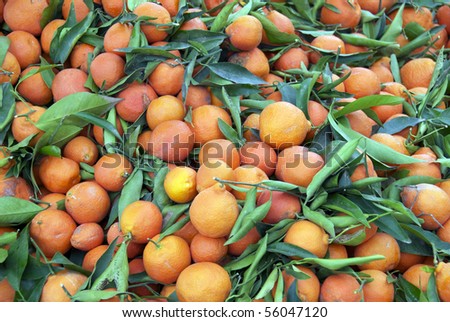 A pile/heap of Oranges