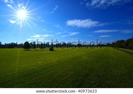 Blue sky, green grass and shining sun in Hyde park, London, UK