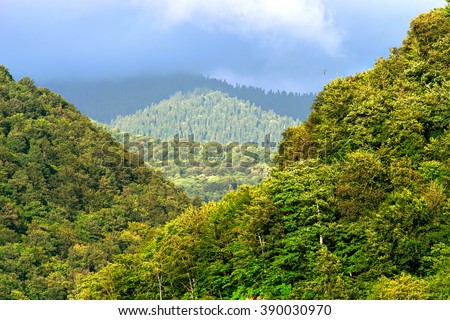 Nature. Mountain forest landscape under sunlight with heavy blue sky scenery. Nature forest landscape. Mountain forest landscape view. Mountain forest in clouds. Mountain landscape. Russia landscape