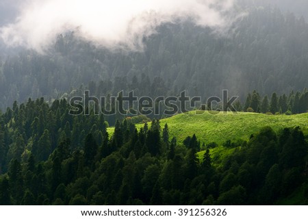 Mountain forest. Beautiful mountain forest landscape. Mountain forest before storm. Amazing mountain forest. Mountain forest in clouds.  Sochi, Russia.