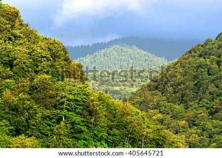 View of mountain forest tree & dramatic heavy blue sky. Wild nature Nature landscape and sun. Nature. Beautiful nature. Green nature. Nature life. Nature Nature view. Great nature. Sunny nature Nature