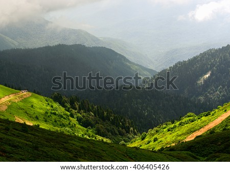Amazing wild nature view of deep evergreen forest landscape on sunlight at middle of summer. Natural green scenery of cloud, road and mountain slopes that look as valley on background. Russia, Sochi