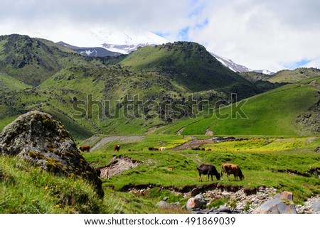 Amazing mountain range landscape with fields, cows. green grass and clouds. Nature  view. Nature. natural. Green nature. Nature fields. nature. Nature Nature view. Great nature. Sunny nature Nature