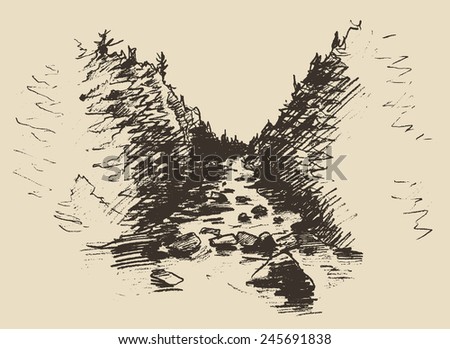 Hand drawn landscape with river and fir forest, vintage vector illustration