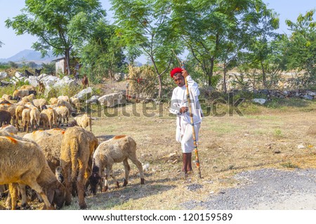 PUSHKAR, INDIA - OCTOBER 22: Rajasthani tribal man wears traditional colorful turban and brings his flock of sheeps to the annual Pushkar Cattle Fair on October 22, 2012 in Pushkar, Rajasthan, India.