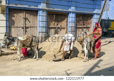 JODHPUR, INDIA - OCT 23: donkeys used to transport heavy goods to the construction site on October 23,2012 in Jodhpur, India. Donkeys are still used even in big towns to transport heavy goods.