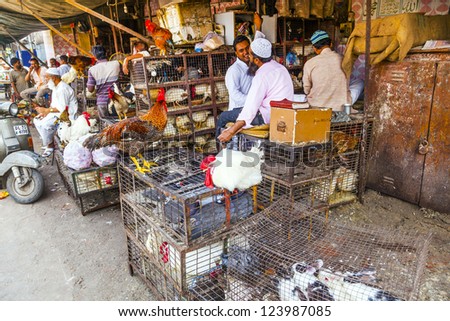 NEW DELHI, INDIA - OCT 10:  Indian men sell their chicken  and cocks in the shade at the weekly big market near Jama Mashid on October 10, 2012 in New Delhi, India.