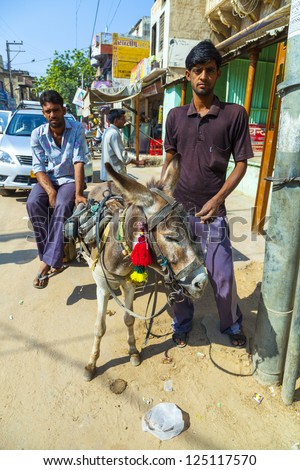 MANDAWA, INDIA - 25 OCT: man offers donkey transportation services with cart on OCT 24, 2012 in MAandawa, India. Donkey transportation is cheep and commonly used in rural areas.