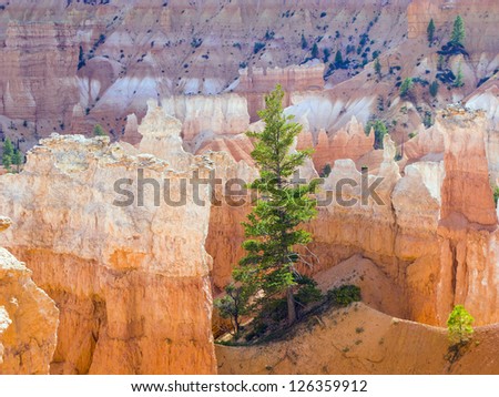 beautiful landscape in Bryce Canyon with magnificent Stone formation like Amphitheater, temples, figures in afternoon ligh