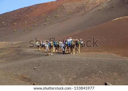 TIMANFAYA NATIONAL PARK, LANZAROTE, SPAIN - MARCH 28: Tourists ride on camels  guided by local people through the famous Timanfaya National Park on March 28, 2013 in Lanzarote, Spain.