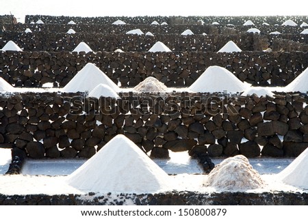 Salt will be produced in the old historic saline in Janubio, Lanzarote
