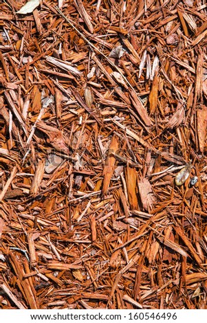 Background of natural wood shavings from a tree