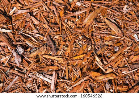 Background of natural wood shavings from a tree