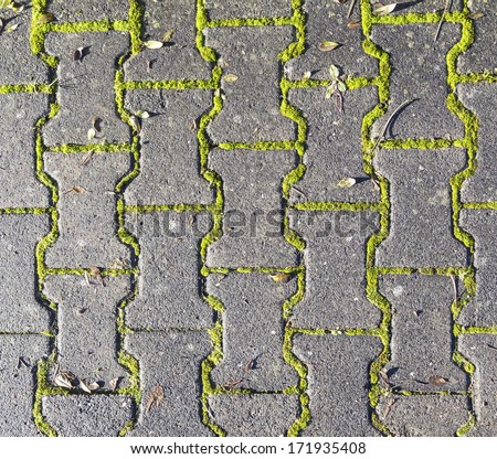 harmonic pattern of floor  structure with weed