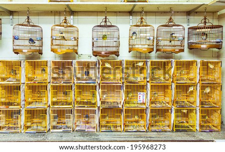 birds in a cage at the birds market in Hongkong