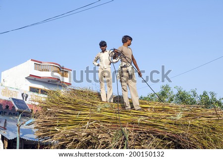 MANDAWA, INDIA - OCT 25, 2012: men load the straw on the tractor after harvest near Mandawa, India. India ranks second worldwide in farm output. 50 % of the population are involved in agriculture.
