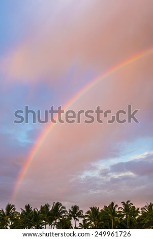 rainbow over the tropical forest in hawaii