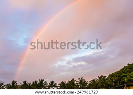 rainbow over the tropical forest in hawaii