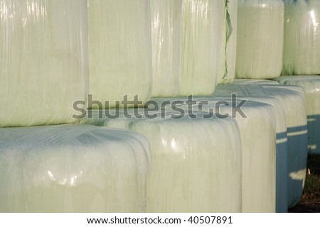 bale of straw in plastic film (foil) to keep dry  in intensive colors