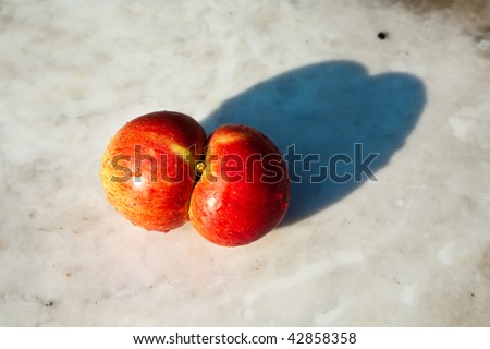 fresh apples with interesting deformations in beautiful light give fantasy a hint