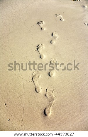 human adult footprint in the fine sand at the beach