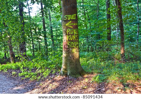 sign start circuit painted on a tree for joggers and walkers