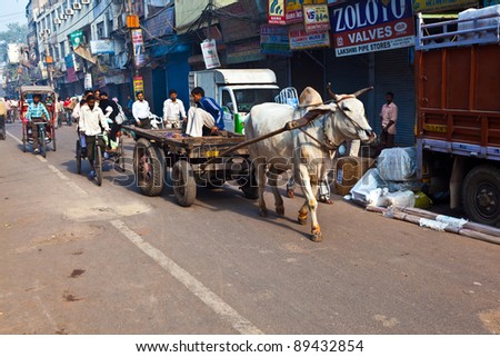 DELHI, INDIA - NOV 9: Ox cart transportation on early morning on November 09,2011 in Delhi, India. The ox chart is a  common cargo  transportation in the narrow streets of old Delhi.