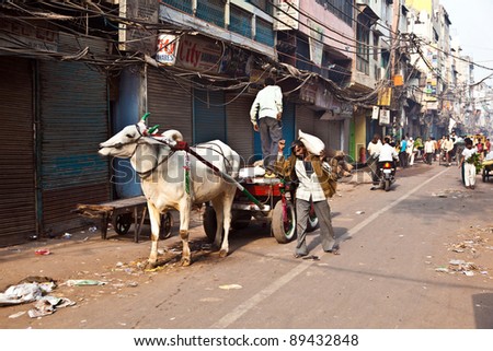 DELHI, INDIA - NOV 9: Ox cart transportation on early morning on November 09,2011 in Delhi, India. The ox chart is a  common cargo  transportation in the narrow streets of old Delhi.