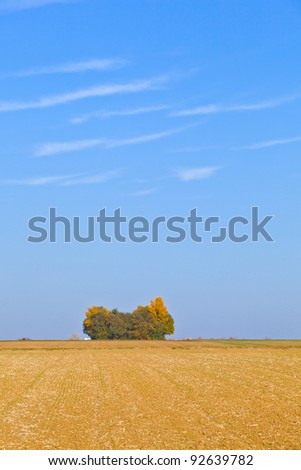 natural full frame background with wtree and field after harvest