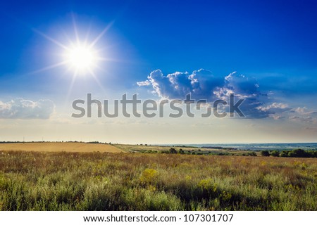 Field of wheat,  evening sky and sun. Sunset. Green planet - Earth