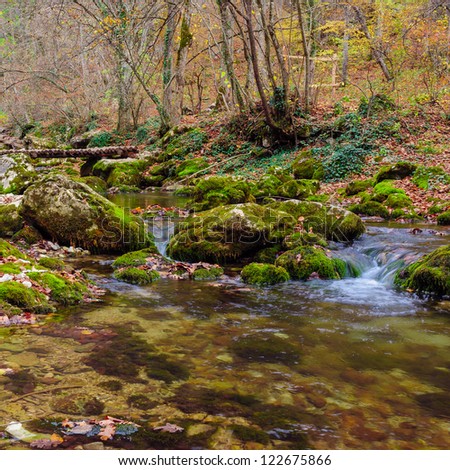Autumn in forest mountains. Mountain river stream.