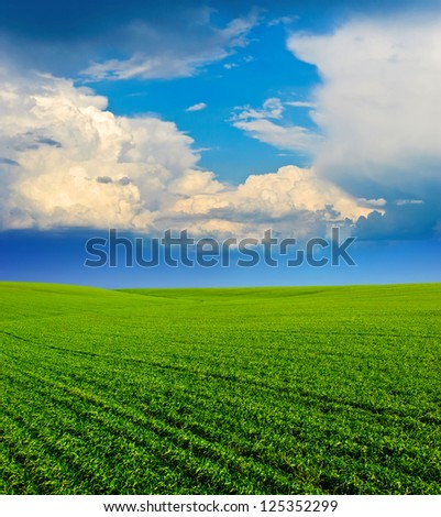 Beautiful blue sky and white clouds. Deep blue sky and clouds. Green Field. wonderland