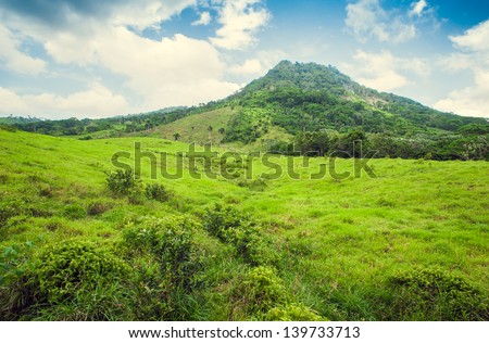 Tropical Jungle Mountain In Dominican Republic, Seychelles, Caribbean, Mauritius, Philippines, Bahamas. Panoramic Views Of Jungle Mountains In Costa Rica.