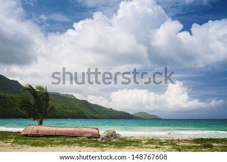 Palm and tropical beach in Tropical Paradise. Summertime holiday in Dominican Republic, Seychelles, Caribbean, Philippines, Bahamas. Relaxing on remote Paradise beach. Luxury Resort on Atlantic ocean.