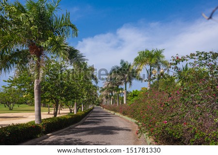 Road in Tropical jungle mountain in Dominican Republic, Seychelles, Caribbean, Mauritius, Philippines, Bahamas. Panoramic views of jungle mountains in Costa Rica.