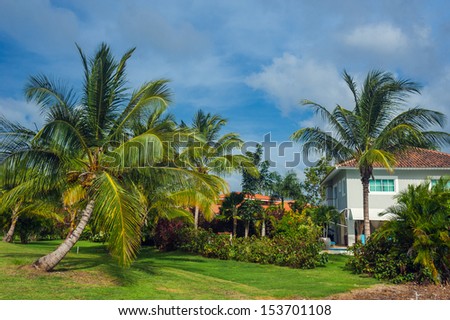 Tropical Paradise. Dominican Republic, Seychelles, Caribbean, Mauritius, Philippines, Bahamas. a green tropical forest. Pathway in tropical park - abstract travel background.