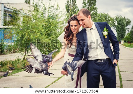 wedding couple with pigeons. wedding - bride and groom together with pigeons in bridal day enjoy a moment of happiness and love. Beautiful happy couple in love newlywed outdoors.