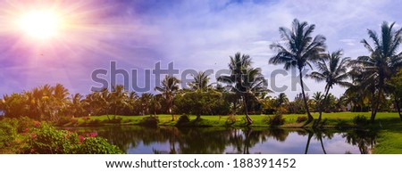 Tropical mountain forest, palm trees in sunlight. Sunset landscape in Dominican Republic. Nature of caribbean island