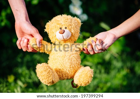 hands of men and women holding a teddy bear on a background of green garden.