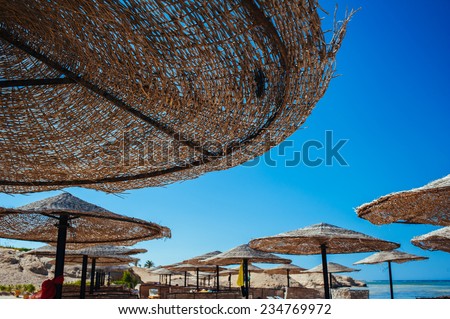 Beach at a luxury typical unrecognizable 5 star hotel in Egypt, Africa. Holiday resort in Egypt. sharm el sheikh. hurgada.