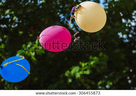 outdoor party in garden decorated with colorful balloons. Vivid color balloons on green outdoor background