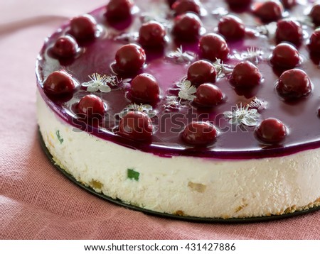 Cheese cake, decorated with flowers and cherry jelly